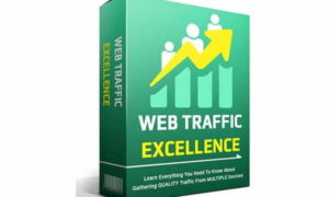 Web Traffic Excellence